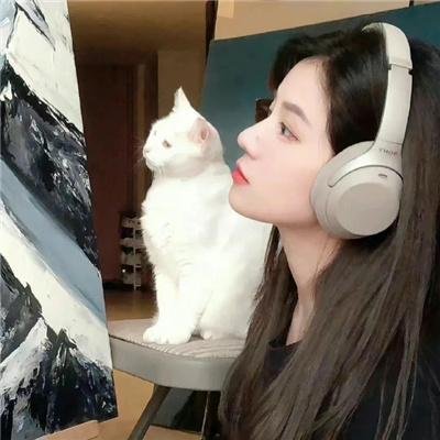 百合与直觉